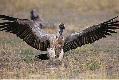 SE东京举办大型营销活动 宣传《最终幻想7：重生》