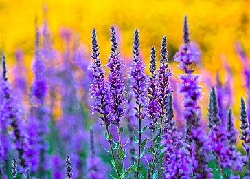 PS5商店添加愿望单功能 打折时可收到通知